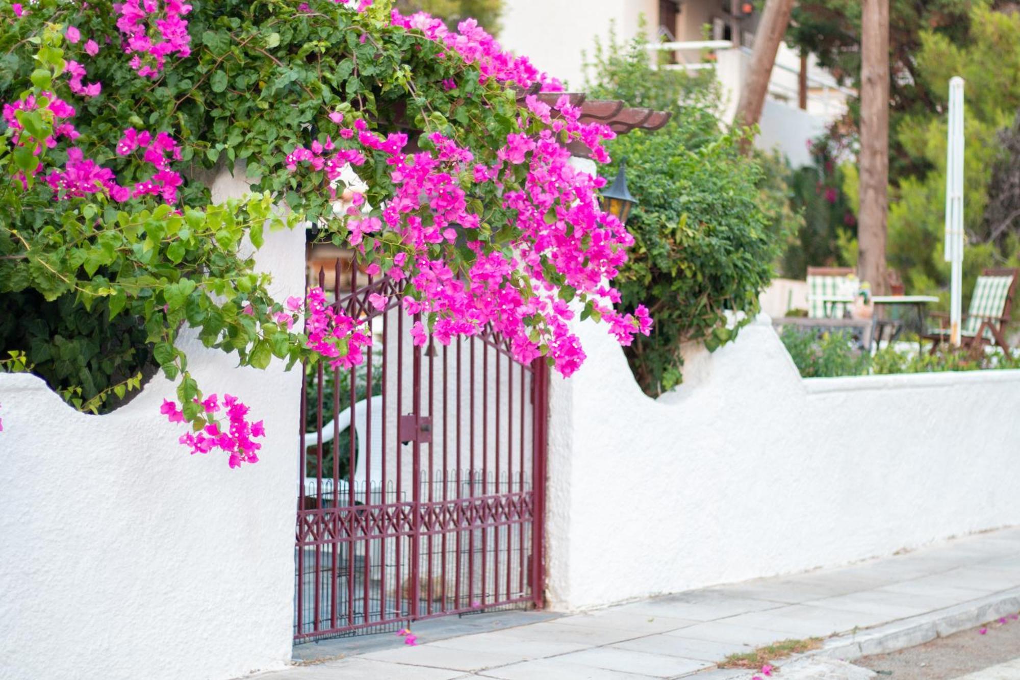 Seaview Apartment - Poros Relaxing Beachfront Flat Poros Town Buitenkant foto